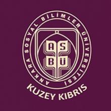 Dr. Öğr. Üyesi Merve Ayşegül KULULAR İBRAHİM